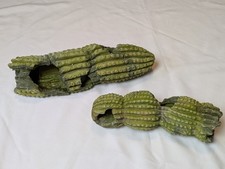 Unique cactus terrarium for sale  Tulsa