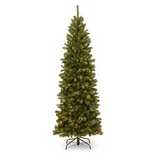 National tree company for sale  Richmond