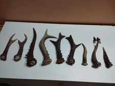 Lot bois chevreuils d'occasion  France