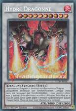 Hydre dragonne pse d'occasion  France