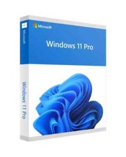 Windows pro key gebraucht kaufen  Seevetal