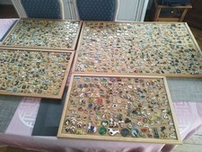 1500 pin cheval d'occasion  Hazebrouck