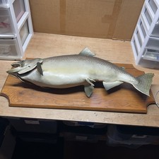 Vintage real king for sale  Warren
