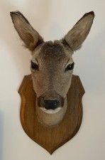 deer plaques for sale  HEBDEN BRIDGE