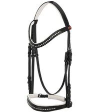 Briglia inglese dressage usato  Carate Brianza
