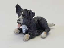 collie border puppy for sale  Lebanon
