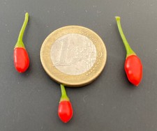 100 semi cumari usato  Italia