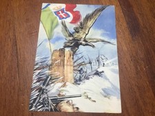 Guardia alla frontiera usato  Villanova di Camposampiero