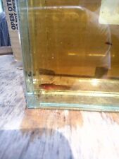 Tadpole madtom catfish for sale  Lake City