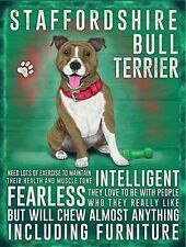 Staffordshire bull terrier d'occasion  Expédié en France