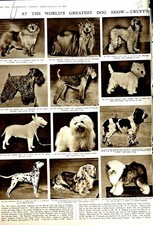 Old vintage print for sale  UK