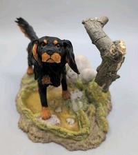 Black tan cavalier for sale  PONTYCLUN