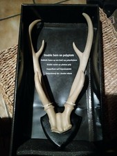 Geweih deko 40 gebraucht kaufen  Sonsbeck