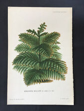 Original 19th century d'occasion  Paris-