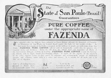 Fazenda brazilian pure for sale  GLASGOW