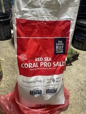 Red sea coral for sale  LEIGHTON BUZZARD