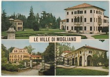 mogliano veneto usato  Isola Vicentina