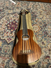 Ashbury fretless bass for sale  IPSWICH