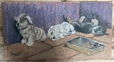 Naughty terrier pups. for sale  LONDON