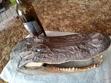 Alligator taxidermy head for sale  Linden