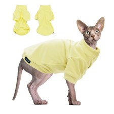 Cute sphynx cat d'occasion  Expédié en Belgium