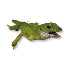 Vintage aaa iguana for sale  Cedar Park