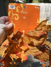 Autumn leaves beautiful for sale  Douglasville
