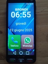 Brondi amico 5.7 usato  Torino
