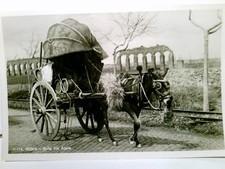 Rom sulla via gebraucht kaufen  Aarbergen