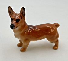 welsh corgi for sale welsh corgi for sale LIVERPOOL