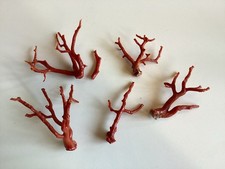Lot branches corail d'occasion  Nice-