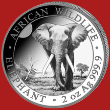 somalia silber gebraucht kaufen somalia silber gebraucht kaufen Hanau