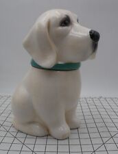 Lucy labrador retriever for sale  Jackson