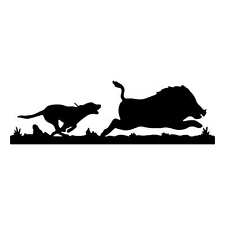 Adesivo prespaziato cinghiale usato  Massa di Somma