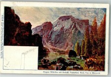 13982055 pragser wildsee gebraucht kaufen  Eimeldingen