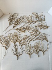 Gold coral twig for sale  Hilltown