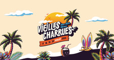Vieilles charrues 2025 d'occasion  Saint-Brieuc