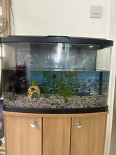 Fish tank aquarium for sale  LONDON