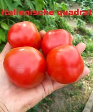 Tomate samen italienische gebraucht kaufen  Wolfsburg