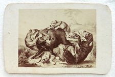 Cdv photo albumine d'occasion Cdv photo albumine d'occasion  Beaufort-en-Vallée