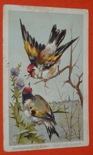 Chromo 1898 bon d'occasion  Vendat