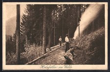 Holzfäller walde arbeit gebraucht kaufen  Berlin
