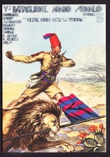 cartoline militari usato  Italia