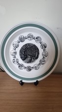 Portmeirion welsh eisteddfod for sale  CARTERTON
