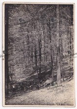 Rginal foto deutschland gebraucht kaufen  Deutschland