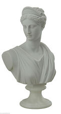 Scultura busto gesso usato  Firenze