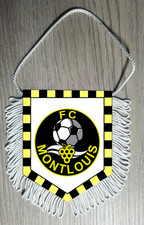 Fanion wimpel pennant d'occasion  France