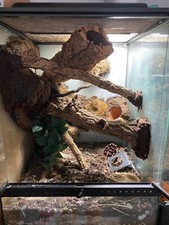 60x45x45 exoterra terrarium for sale  READING