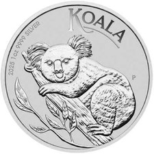 Australia koala 2025 usato  Poviglio