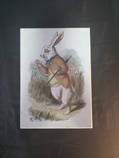 Alice wonderland white for sale  FRIZINGTON